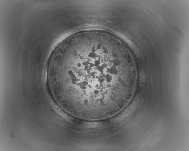 X0000110911413200906181333