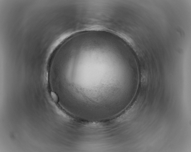 X0000110911414200906181333