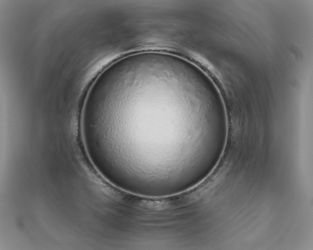 X0000110911415200906181333