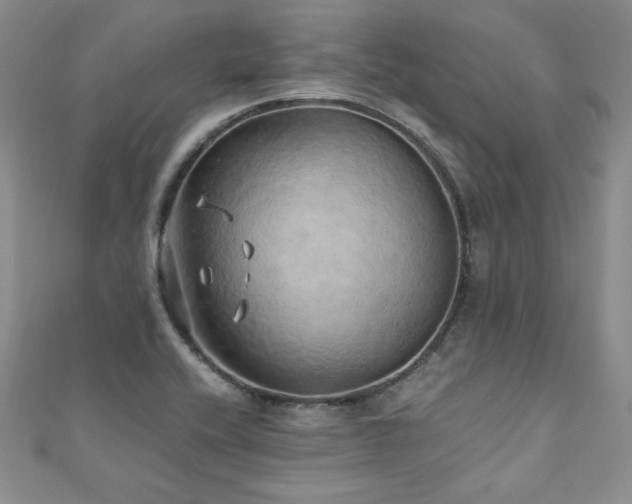 X0000110911416200906181333