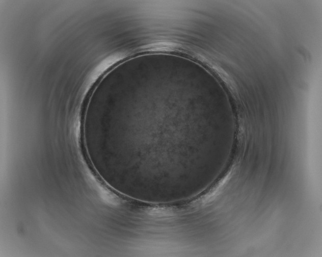 X0000110911418200906181333