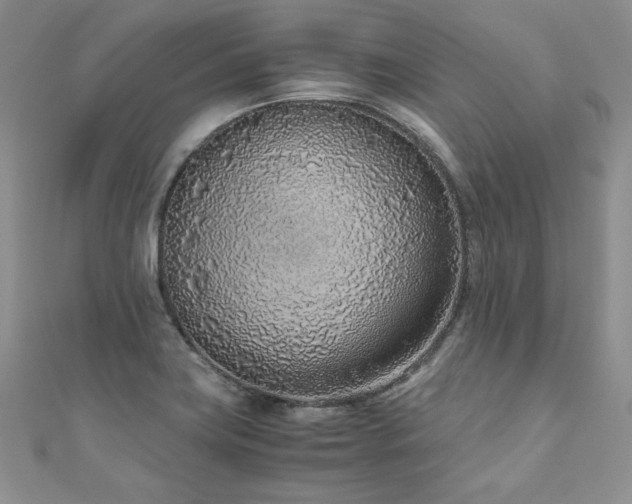 X0000110911419200906181333