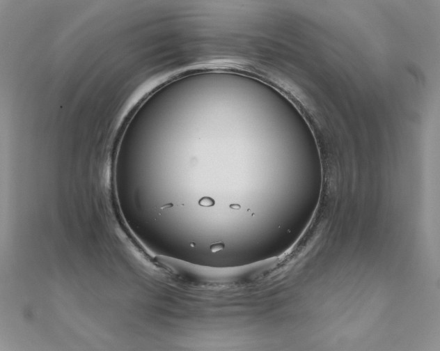 X0000110911420200906181333