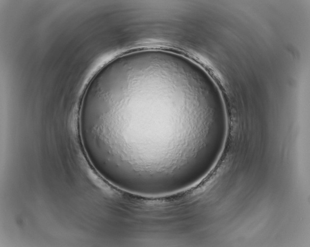 X0000110911421200906181333