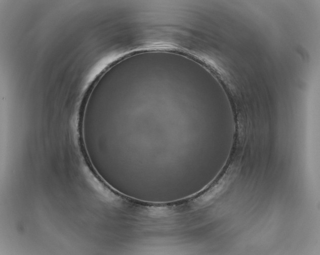 X0000110911422200906181333