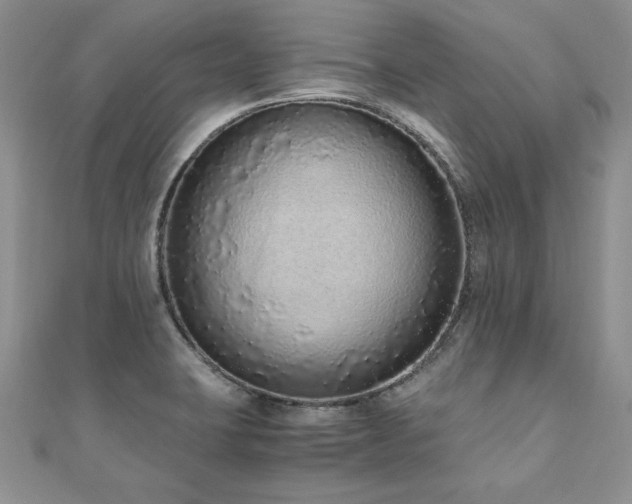 X0000110911423200906181334