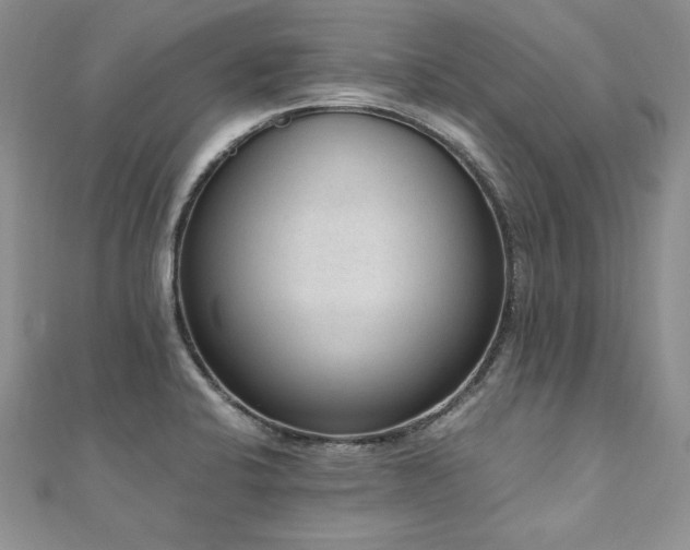 X0000110911424200906181334