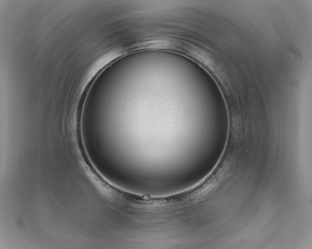 X0000110911426200906181334