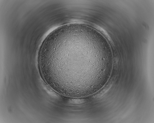 X0000110911427200906181334