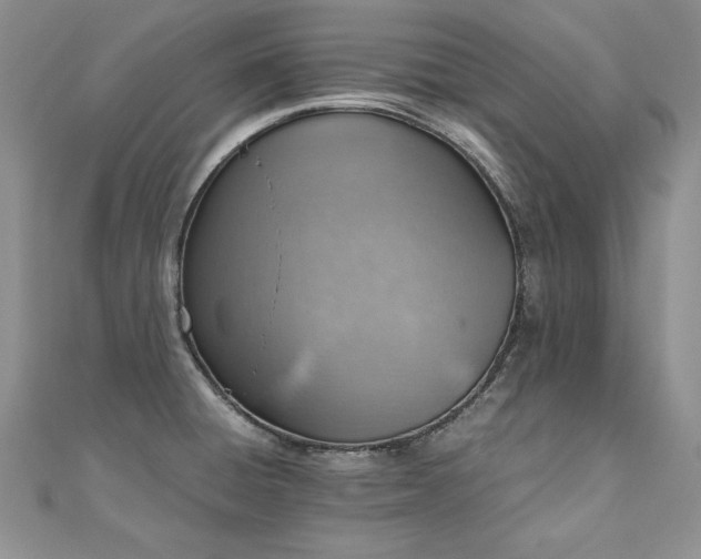 X0000110911428200906181334