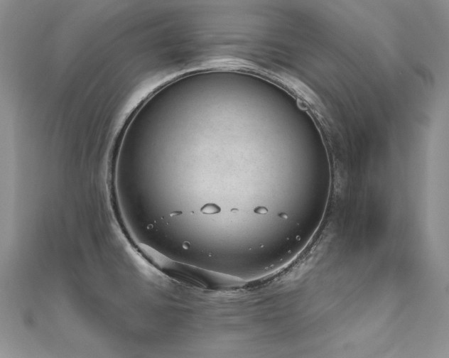 X0000110911430200906181334