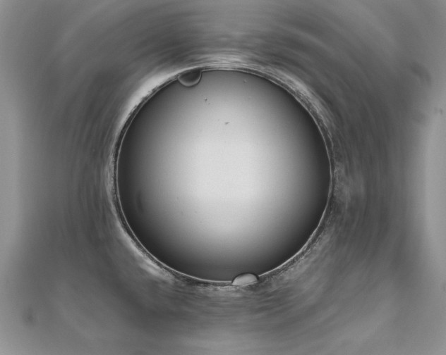 X0000110911432200906181334