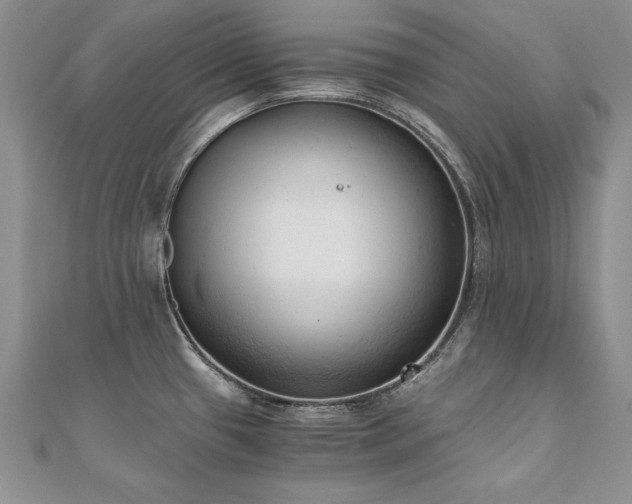 X0000110911433200906181334