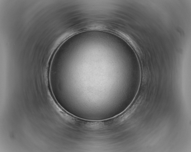 X0000110911434200906181334