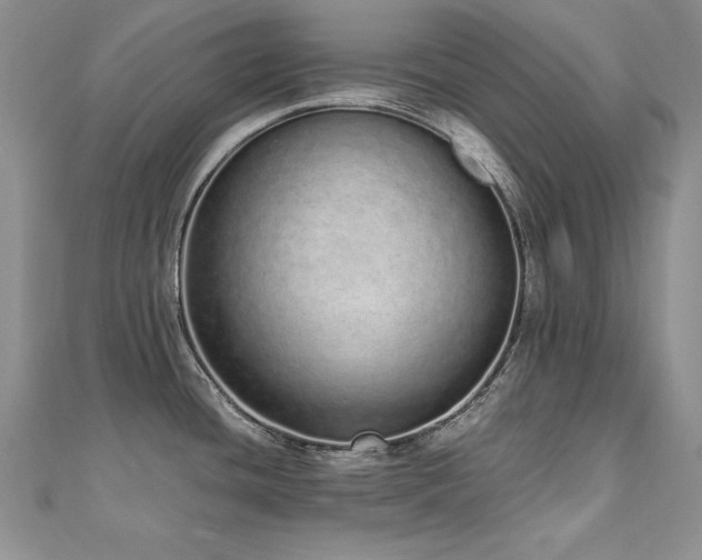 X0000110911436200906181334