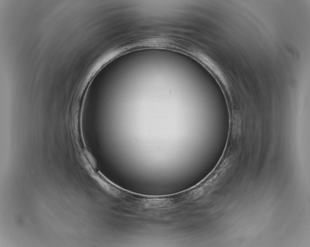 X0000110911437200906181334