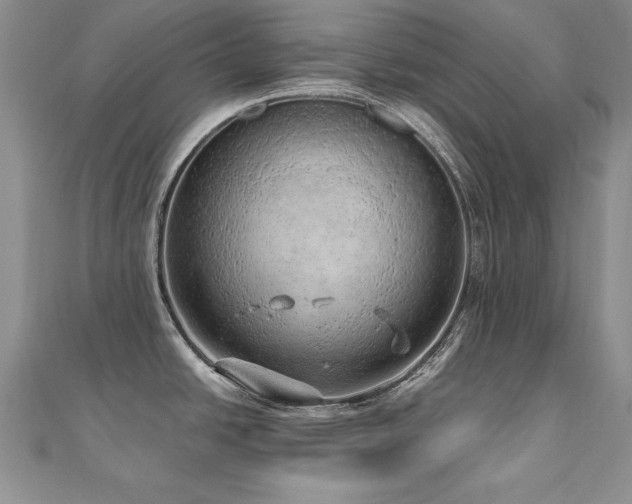 X0000110911438200906181334