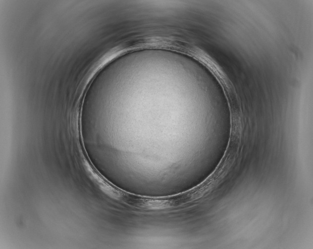 X0000110911439200906181334