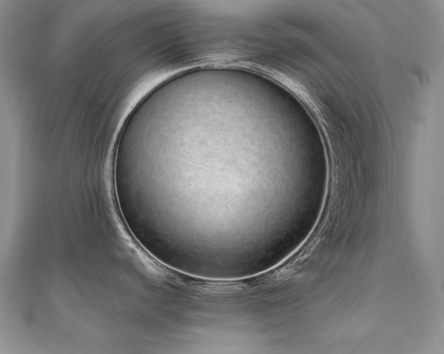 X0000110911440200906181334