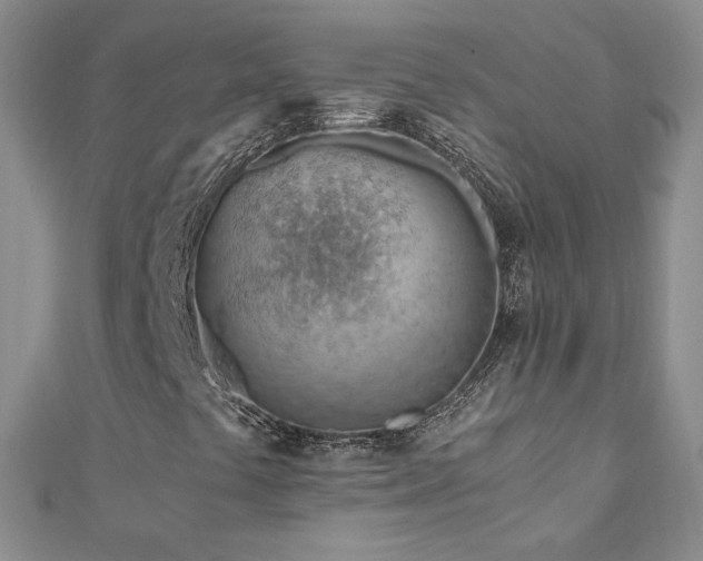 X0000110911441200906181333