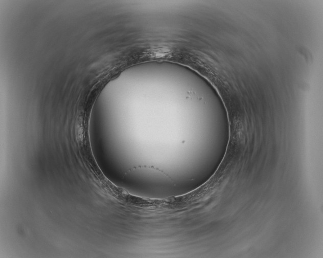 X0000110911442200906181333