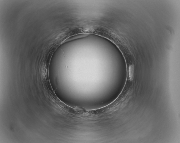 X0000110911443200906181333