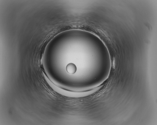 X0000110911444200906181333