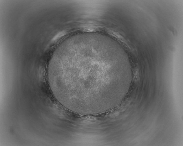 X0000110911446200906181333