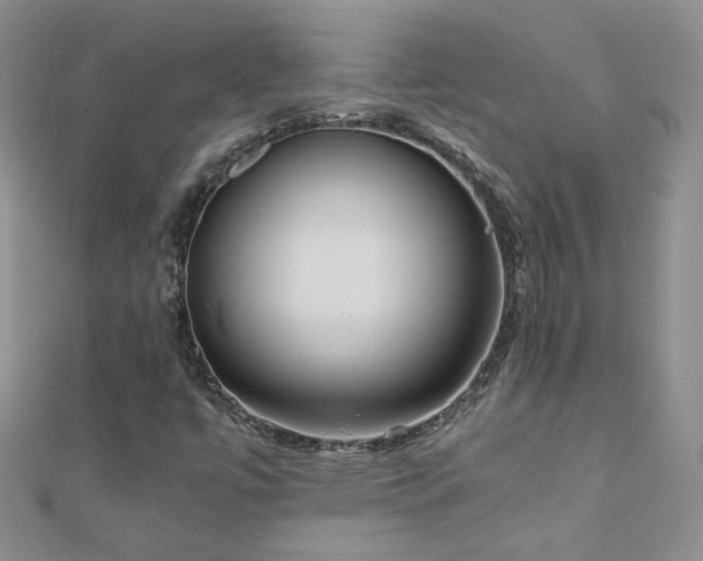 X0000110911447200906181333