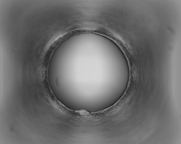 X0000110911448200906181333