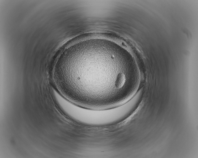 X0000110911449200906181333