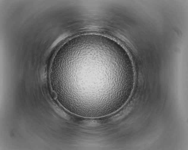 X0000110911450200906181333