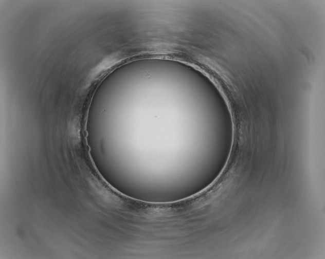 X0000110911451200906181333