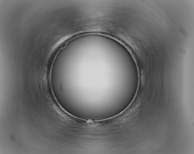 X0000110911452200906181333