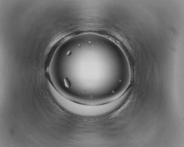 X0000110911453200906181333