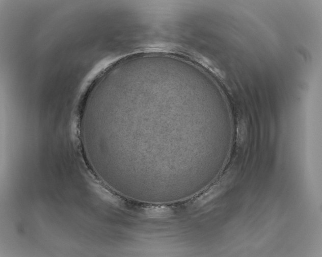 X0000110911454200906181333