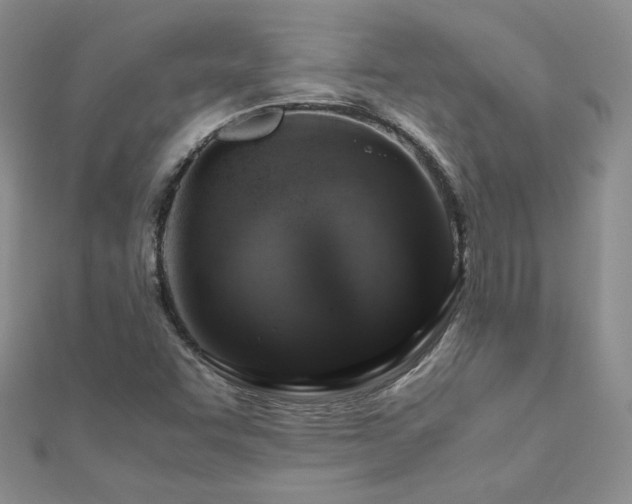 X0000110911455200906181333