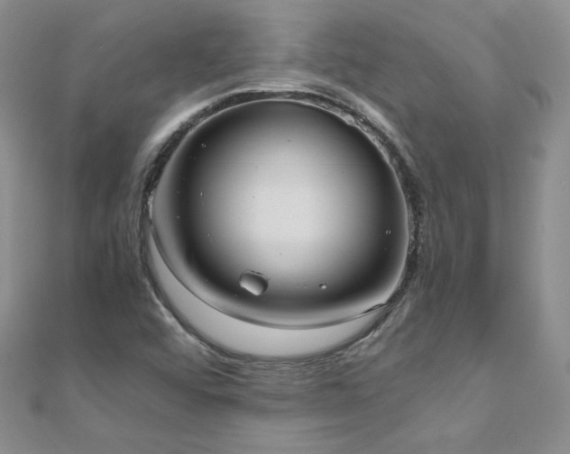 X0000110911456200906181333