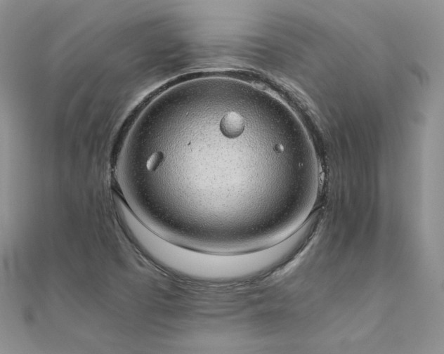 X0000110911457200906181333