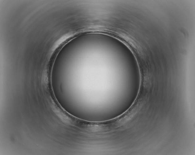 X0000110911458200906181333