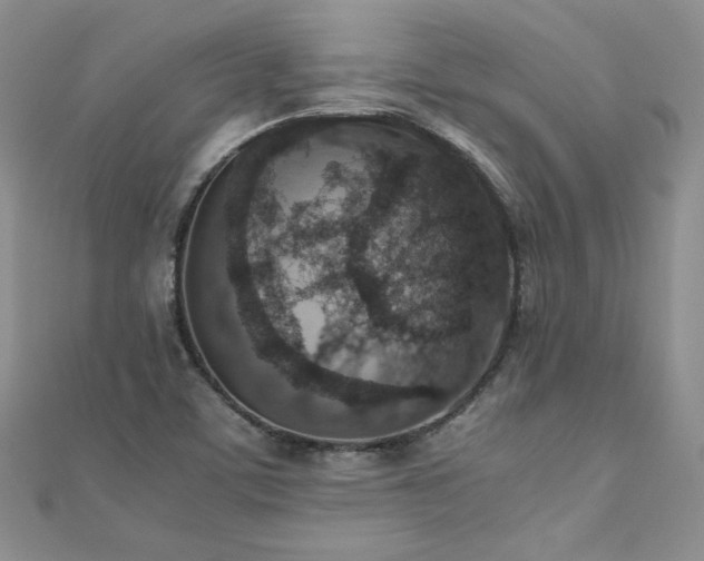 X0000110911459200906181333