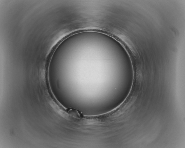 X0000110911460200906181333