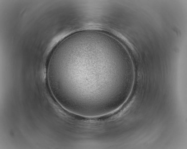 X0000110911461200906181333