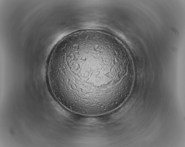 X0000110911463200906181333