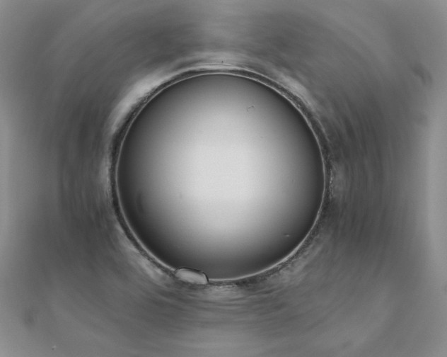 X0000110911464200906181333