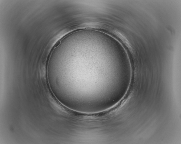 X0000110911465200906181333