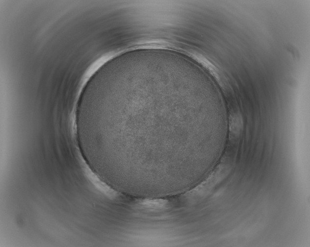 X0000110911466200906181333