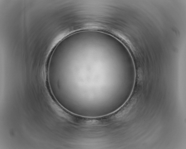 X0000110911467200906181333