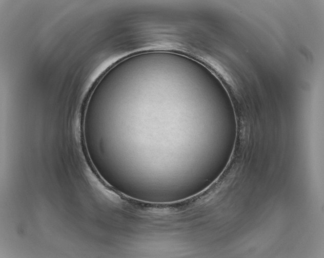 X0000110911468200906181333