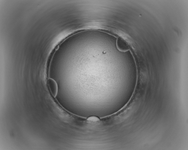 X0000110911469200906181333